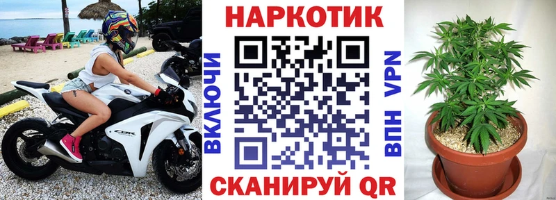 Наркошоп купить КОКАИН  Меф  Псилоцибиновые грибы  Конопля  Альфа ПВП  Кологрив