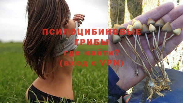 прущая мука Карпинск