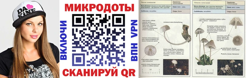 Купить где  Кологрив  Галлюциногенные грибы MAGIC MUSHROOMS 